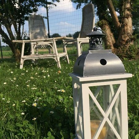 Il "Green " In Giardino Ferrara Eksteriør bilde
