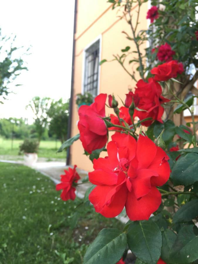 Il "Green " In Giardino Ferrara Eksteriør bilde